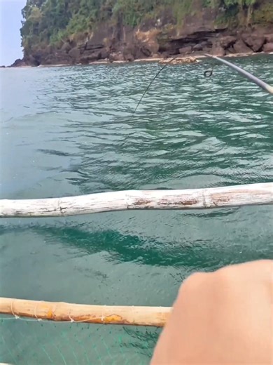 Cheat Code for Catching Grouper with Luminous Lures