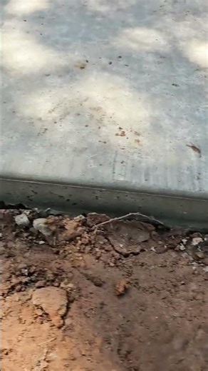 No Wire Mesh | Shreveport