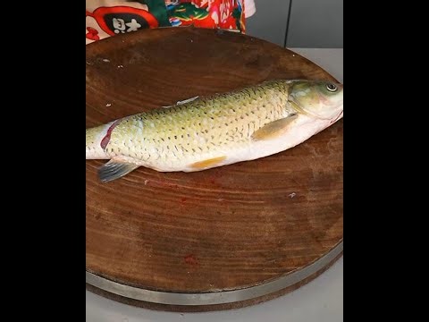 How to Make Chinese-Style Grilled Fish🔴Live Stream🔴Delicious Chinese Street Food