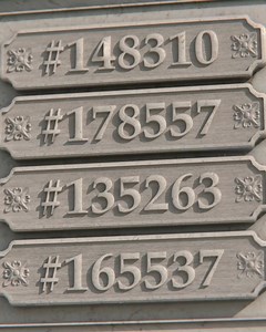 241K views · 1.7K reactions | Alan Walker on Reels | Facebook