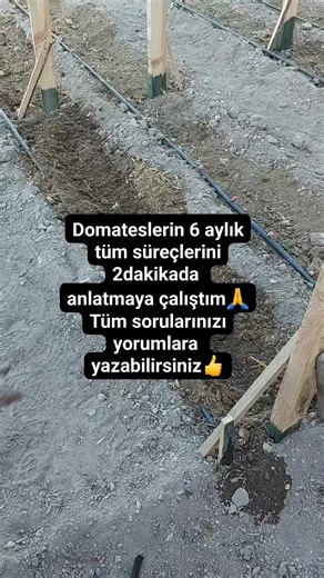 Süvari Qasımgil (@svari.qasmgil)’s videos with orijinal ses - Süvari Qasımgil