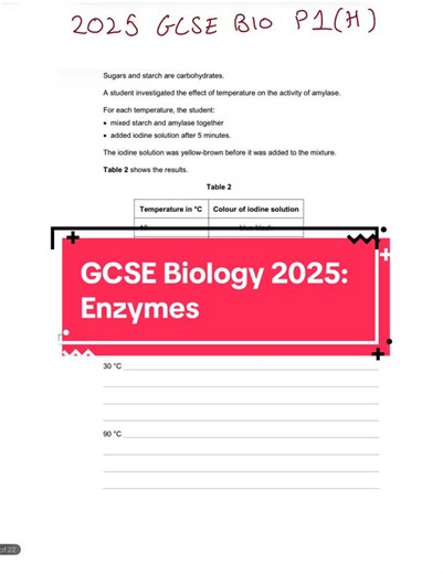 GCSE Biology 2025: Understanding Enzymes