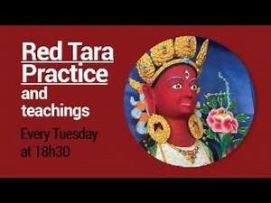 Red Tara Practice