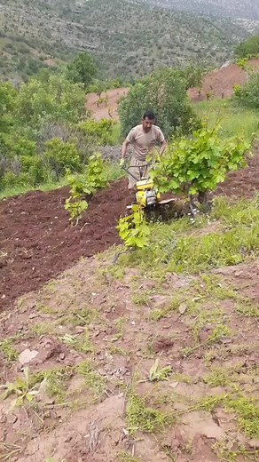 Agricultural Work with John Deere Tractor in Rural Area