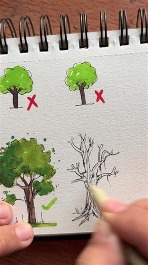 Draw easy trees 🌳 for beginners artist easy fyp fy #draw #art #fy #fyp #fypppppppppppppp