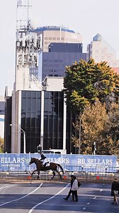 41K views · 841 reactions | It was a thoroughly enjoyable RB Sellars Cross Country Day in Adelaide... Shane Rose and thoroughbred The Bandit lead the five-star ahead of two other thoroughbreds! Shane also leads the four-star with Easy Turn, while Hannah Deegan and HK Hawthorn are ahead in the three-star✨  Click Capture Photography #eqlifeaus #adleqfest #eventing #rbsellars #crosscountry #adelaidefivestar | Equestrian Life | Facebook