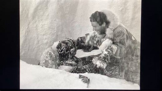 『原子怪獣現わる』（1953年米）監督／ユージン・ルーリー北極海での核爆発実験のため、恐竜リドザウルスが復活して暴れ回る。レイ・ハリーハウゼンの手によるモデルアニメーションで活かされた怪物は、日本のゴジラにも影響を与え、後々のエメリッヒ版ゴジラ（1998年）のベースになったとの説もチラホラ。