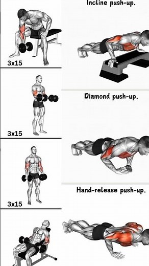The Best Arm Workout For MASS