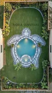 We Built a Giant Turtle Pool in the Backyard! 🐢 #backyard#shorts