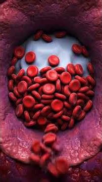 What Happens When You Get Sepsis? ⚠️