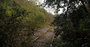 Leamside Line: MPs still 'united' despite clash over railway reopening plans