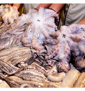 Cooking tasty BBQ octopus recipe - Hoot Food | Hoot Food