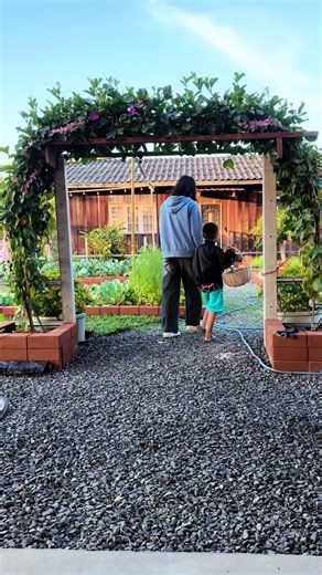 กุ้งผัดบล็อกโคลี่ ได้กินแล้วเมนูนี้ บล็อกโคลี่ปลูกเองตัดสดๆจากสวนปลอดสาร #บ#บิ๋มนิตยาส#สวนผักหลังบ้านแม่บิ๋ม