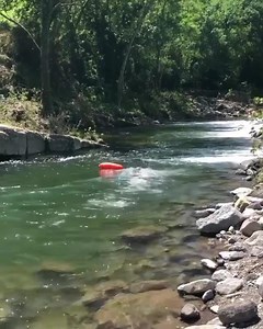 1.6M views · 3.2K reactions | Órale wow ⚡‍♀️‍♂️落 | Swimming Fanatic | Facebook