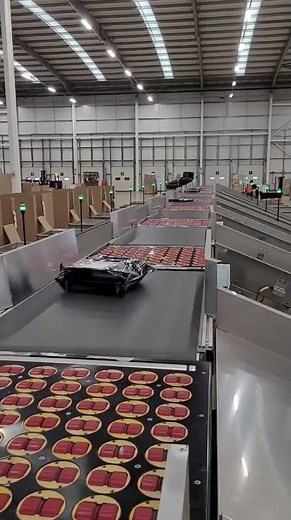 Product Sorting Using Diverters