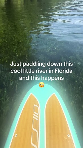 Exploring the Majestic Alligator River in Florida