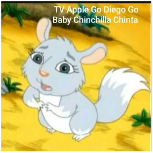 Go Diego Go Baby Chinchilla Chinta