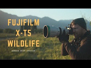 Capturing Wildlife with the Fujifilm X-T5: Does it compare to the X-H2S?