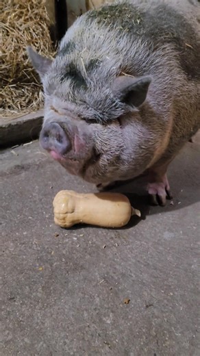 Melon says there's nothing better than the crunch of a squash, or maybe watermelon or an apple....the list is endless for her! | Bypass Farm