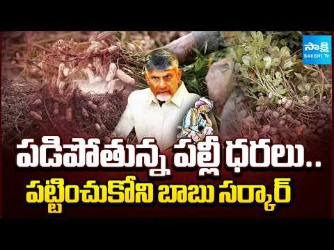 వేరుశనగ రైతుల అవస్థలు! | Chandrababu Government Fails to Support Groundnut Farmers | @SakshiTV