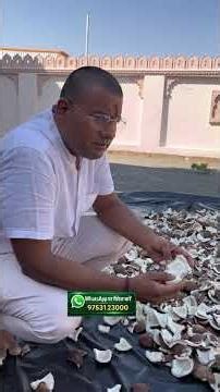 How to Make coconut oil (cold pressed | Wood press | Wooden Cold Pressed Wood cold press) #coconut