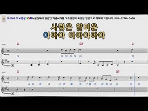 사랑은나비인가봐 현철