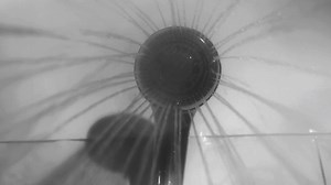 Psycho | Shower Scene (remake) - Ana Nunes