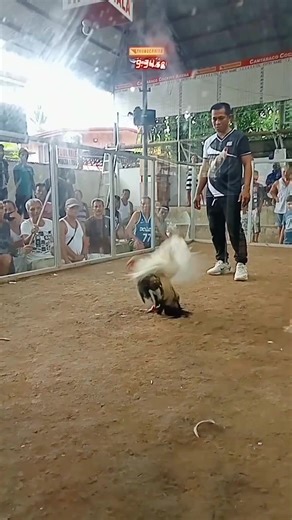 1.5K views · 27 reactions | Cantabaco Cockpit Arena on Reels | Facebook