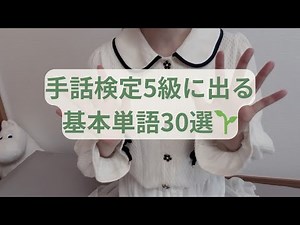 [A Must-See for Sign Language Beginners] 30 Basic Vocabulary Words That Appear on the Level 5 Cer...