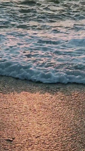 BYD building a greener and greater future. | BYD Europe