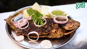 41K views · 149 reactions | വിരിഞ്ഞിറങ്ങുന്നതു മുതൽ വിരുന്നുശാല വരെ തിലാപ്പിയയുടെ യാത്ര Life cycle of Genetically Improved Farmed Tilapia (GIFT) #Karshakasree #fishfarming #tilapia #giftfish | Karshakasree | Facebook