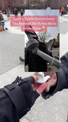 Just recreating Home Alone scenes in real life 😭😭😭 #ALLDAYNYC #NYC #HOMEALONE #HOMEALONE2 #WASHINGTONSQUAREPARK