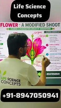 Flower Diagram Explained | Parts of Flower Labelled Diagram | Biology Class 11 NCERT