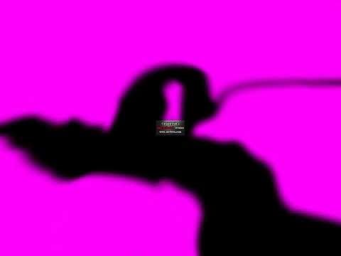 Pingu Outro In Pingu O O (Accurate)