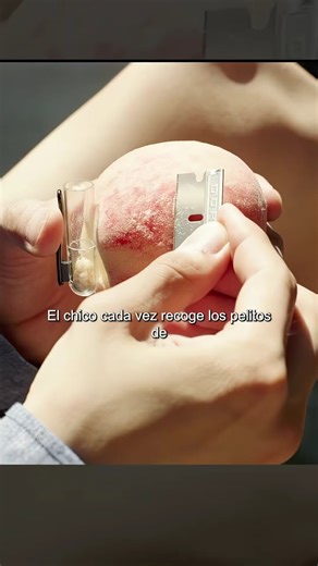 CC Cine Calidad on Instagram: "😱 Una familia pobre engaña a una mansión millonaria… y su plan es PERFECTO 🏠💰 🛑 ADVERTENCIA Historia dramática con elementos de engaño y tensión social. No promueve conductas ilegales. Contenido narrativo de ficción. 📖 SINOPSIS Una familia que vive en un semisótano de menos de 20 metros cuadrados apenas logra sobrevivir empacando cajas de pizza. Comparten la señal de wifi del vecino, soportan el humo de fumigaciones callejeras como si fuera un lujo gratuito y