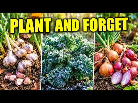 9 Easy Veggies To Plant In Fall And FORGET All Winter