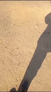 CIT Robbery at Ekangala in the East of Pretoria. #cit #pitori #ladi_jaja | Tsa_Pitori online Magazine