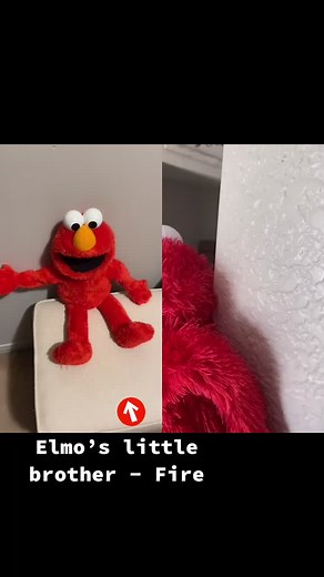 Elmo's Little Brother: A Fun Adventure on Amazon
