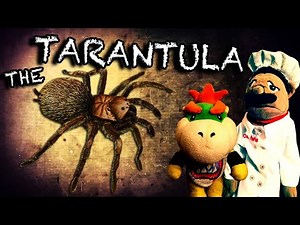 SML Movie: The Tarantula!