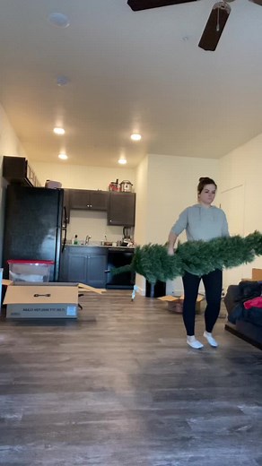 Scaring Cats with Christmas Trees - Funny Cat Reactions