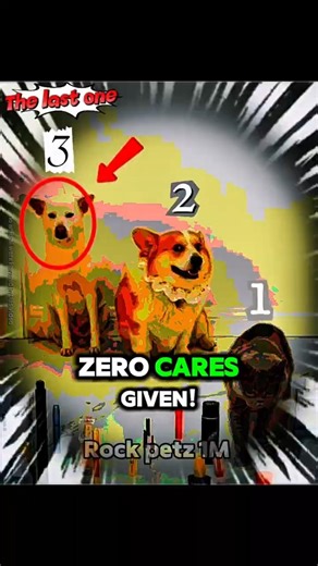 The Last Dog Woke Up And Chose VIOLENCE! 😂🐕 #shorts