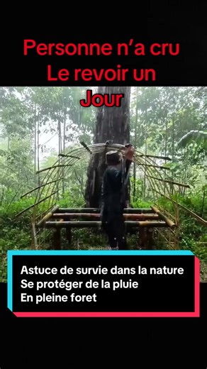 Survivre dans la nature ! Astuce de survie #nature #bushcraft #survive