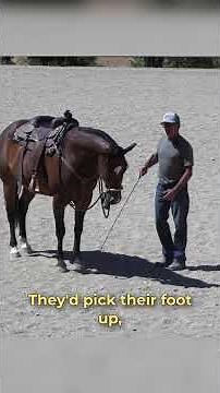 The Application of Your Aids in Action.