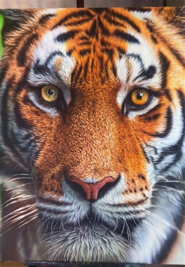 Incredible Hyperrealism Tiger Art by Noah Henderson