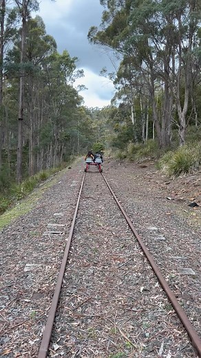 41K views · 641 reactions | Launceston & North East Railway. on Reels | Facebook