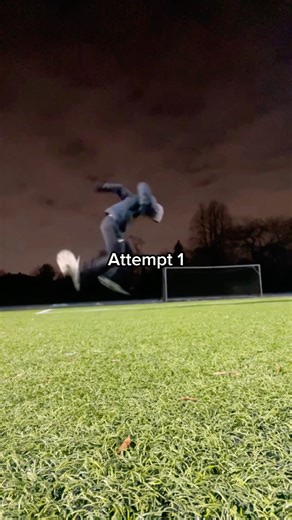 Learning the Rainbow Flick