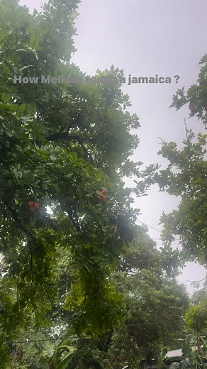 4K reactions · 374 shares | Elizabeth Aunty Lizzy Schooler on Reels | Facebook