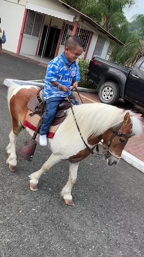 Caballito Pony: Diversión y Montaje con Jorgito