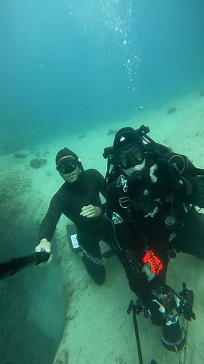 16 reactions | Two divers, two “opposite” approaches, one ocean....