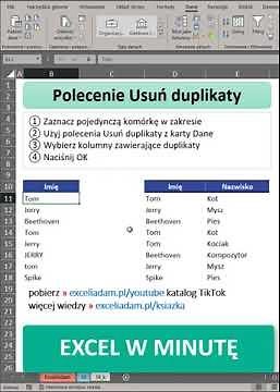 Excel in 10 Minutes - Removing Duplicates